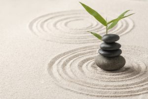 Blog bienestar